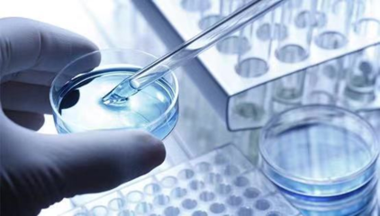 擎科生物 深耕基因合成全產業鏈，賦能生物科技研發創新