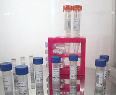 引進美國生物工程前沿技術，打造高科技生物制品研發新生態